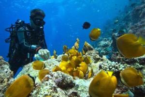 パジェにあるPaje Beach Apartments & Hotelの魚と共にサンゴ礁を撮影する男