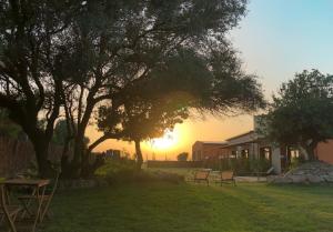 a group of benches in a field with the sunset in the background at Trafalgar Polo Club in El Palmar