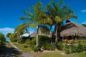 a resort with palm trees and a pathway at Fare Edith Moorea in Haapiti