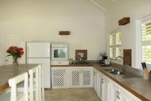 A cozinha ou cozinha compacta de Caribbean Beach Villa Playa Bonita Las Terrenas