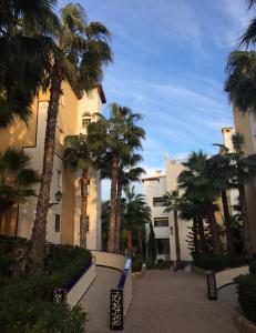 a building with palm trees in front of it at Martina in Torrevieja