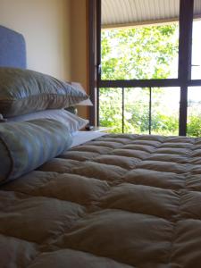 1 cama con almohadas en una habitación con ventana en Hawkdun Rise Vineyard & Accommodation en Alexandra
