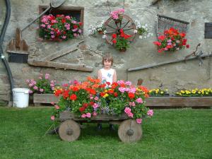 A garden outside Pension Bauernhof Baumgartner Stanahof