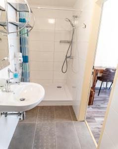 La salle de bains est pourvue d'une douche et d'un lavabo. dans l'établissement Pension zum Meridianstein, à Gmünd