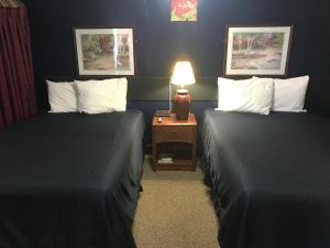 En eller flere senger på et rom på Cooper Motel Tuscola