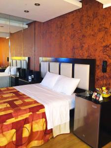 1 dormitorio con 1 cama grande y espejo en Fantasy Suites, en Lima