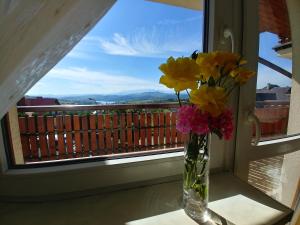 Foto dalla galleria di Pensjonat Willa Szarotka a Kluszkowce