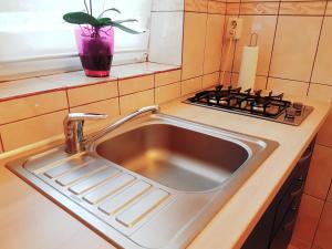 a sink in a kitchen next to a stove at Cozy House Decebal in Cluj-Napoca