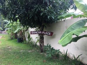 Buncha Place外面的花园