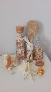 a group of seashells and a jar filled with shells at Villa oasi in Fontane Bianche