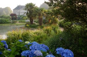 un jardin avec des fleurs bleues devant une maison dans l'établissement Chateau de la Foltière, à Le Châtellier