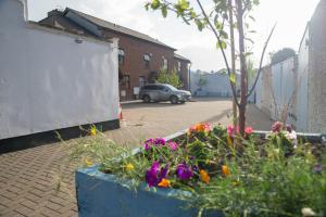 a bunch of flowers in a blue planter next to a building at Liberty Townhouses in Dublin