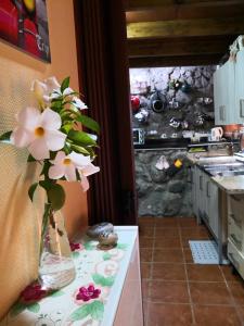 a vase of flowers on a table in a kitchen at Casa Rural Eneida in Chiquenge +284 photos