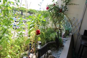a garden with roses and plants in a room at Studio 237 Port Camargue, Piscine, Climatisation, 2 personnes in Le Grau-du-Roi