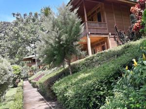 Gallery image of Botanica Nature Resort in Bitung
