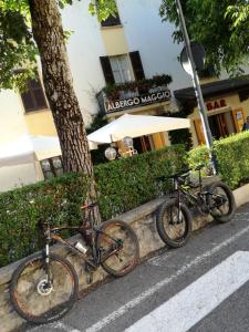 two bikes parked next to a tree on a street at Albergo Maggio in Cremeno