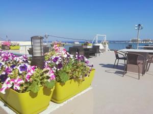 two yellow containers filled with flowers on a patio at City Point Chios in Chios