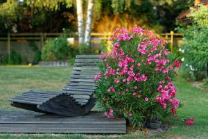 Eine Parkbank mit rosa Blumen. in der Unterkunft autour de la ferme in Villeneuve d'Ascq