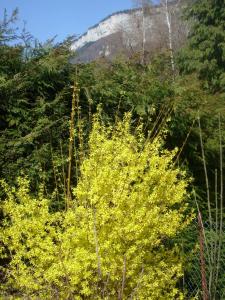 Billede fra billedgalleriet på Gîte meublé Les Centaurées i Saint-Martin-en-Vercors