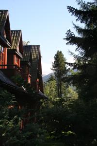 Příroda nedaleko vily + 71 fotografií