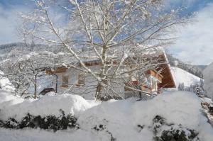 Obiekt Haus Alpenflora zimą