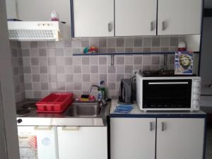 Kuchyňa alebo kuchynka v ubytovaní Apollon Apartments H-2