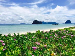 a field of flowers on a beach with mountains in the background at Thanya Beach Resort - SHA Plus in Ko Ngai