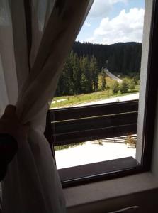 a window with a view of a field and trees at Elza Apartment in Pamporovo