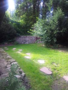 シフィエラドゥフ・ズドルイにあるApartament w Górachの草の中に踏石を置いた庭園