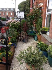 Acara House B&B في دبلن: حديقة بها نباتات الفخار أمام المبنى