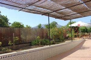 A garden outside Casa Paquita Y Telesforo