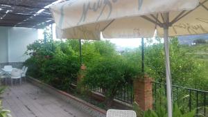 A garden outside Casa Paquita Y Telesforo
