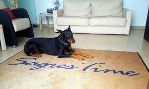 a dog laying on a rug with the word space time at Sagres Time Apartamentos in Sagres