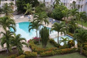 uma vista sobre uma piscina com palmeiras e flores em Penthouse On The Ridge em Ocho Rios