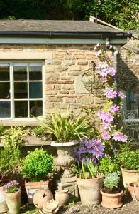 a garden with potted plants in front of a building at Lavender cottage in Gloucester
