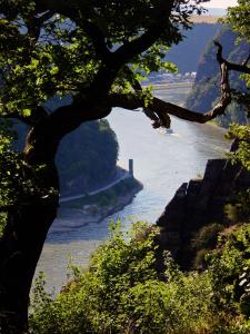 uma vista para um rio com uma árvore em Hotel Cafe Restaurant Loreleyblick em Sankt Goar