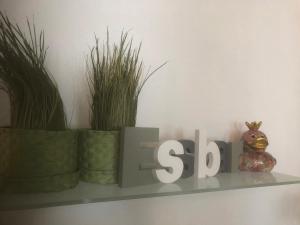 a shelf with plants and the word solo on it at Hotel Sechzehn in Leverkusen