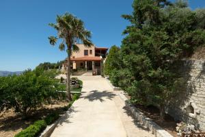 a house with a palm tree on a sidewalk at Ageri Traditional Villa in Argyroupolis
