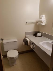 a bathroom with a toilet and a sink at Prospector Inn in Creighton