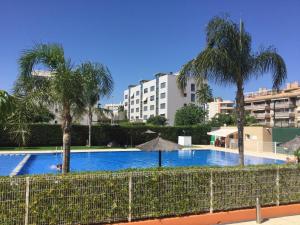 a swimming pool with palm trees and a building at Apartamento de lujo en Canet de Berenguer a 150 m de la playa in Canet de Berenguer