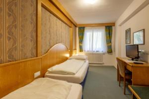 TV a/nebo společenská místnost v ubytování Hotel Alpe