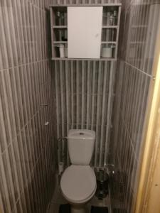 - une petite salle de bains avec toilettes dans une cabine dans l'établissement Tėjos guest house, à Šiauliai