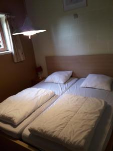 Легло или легла в стая в Le Vieux Sart 2