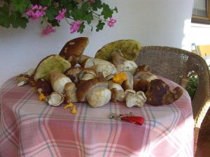 Jedzenie w pensjonacie lub w pobliżu