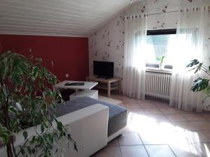 uma sala de estar com um sofá, uma televisão e uma janela em Ferienwohnung am Zeitenweg em Windeck