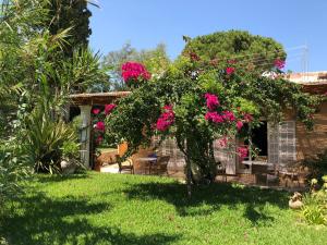 un jardín con un árbol con flores rosas. en Cas Quinto en Cala Ratjada