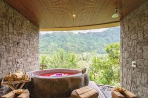 Ein allgemeiner Bergblick oder ein Berglick von des Resorts aus