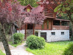 a log house with a pathway in front of it at Vikendice Biocinovici in Kolašin
