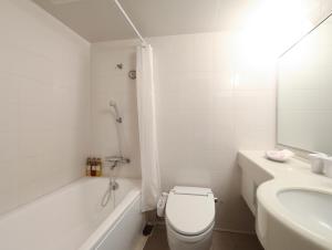 Ett badrum på Hotel Wing International Himeji