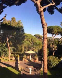 TH Roma - Carpegna Palace في روما: حديقة فيها كراسي ومظلة واشجار
